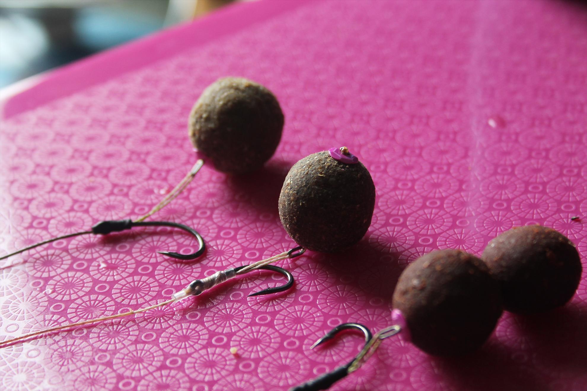 Monturi... - harsany-aprilie2013-169.JPG